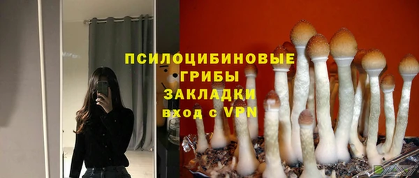 гашик Михайлов