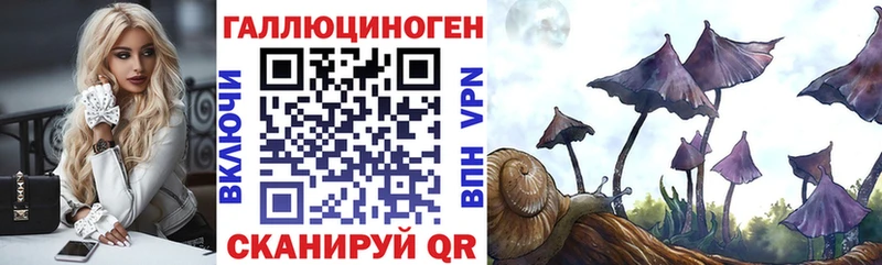 Купить закладки  Щёлково  Галлюциногенные грибы Psilocybe 